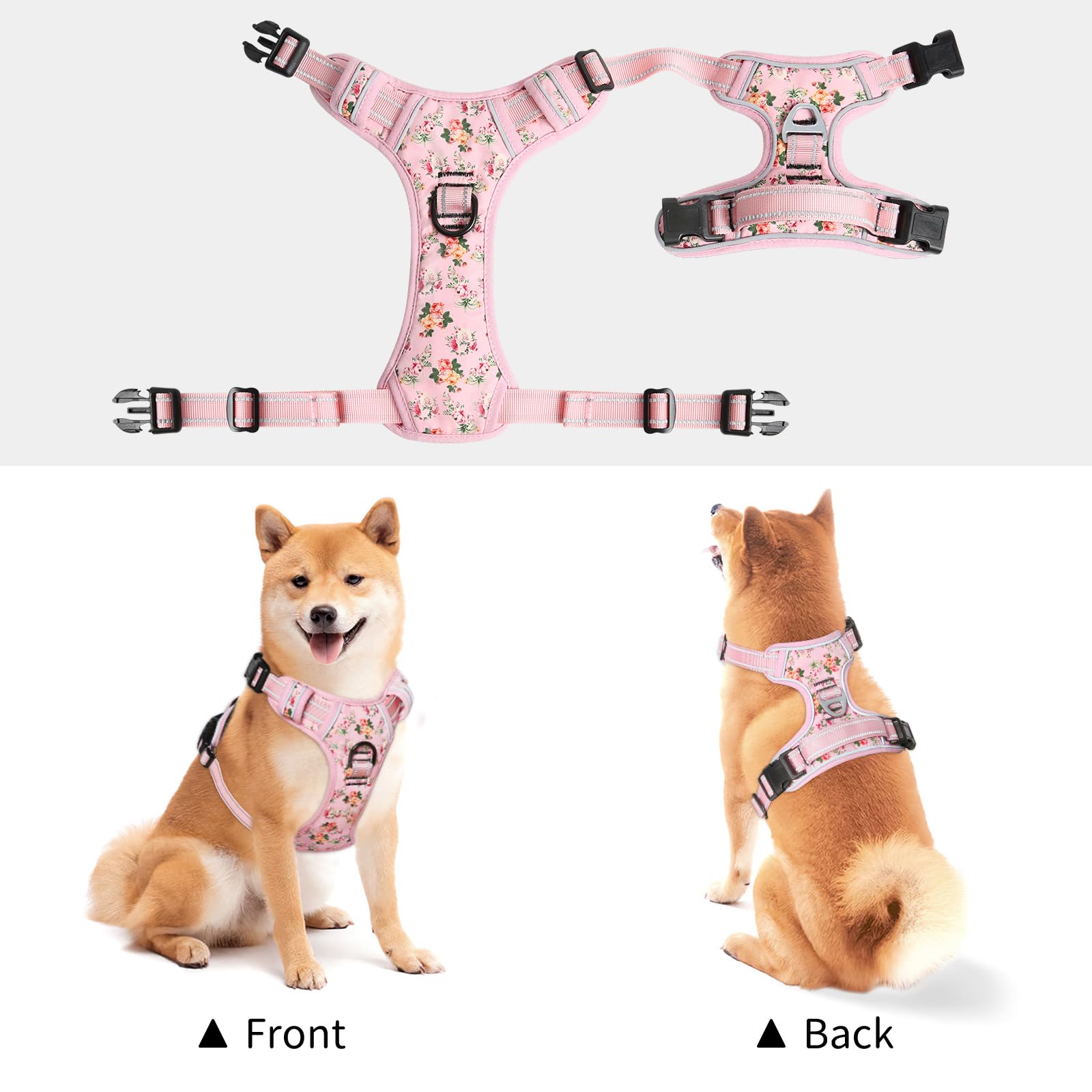 Timos soft control handle helps steady the dog near you