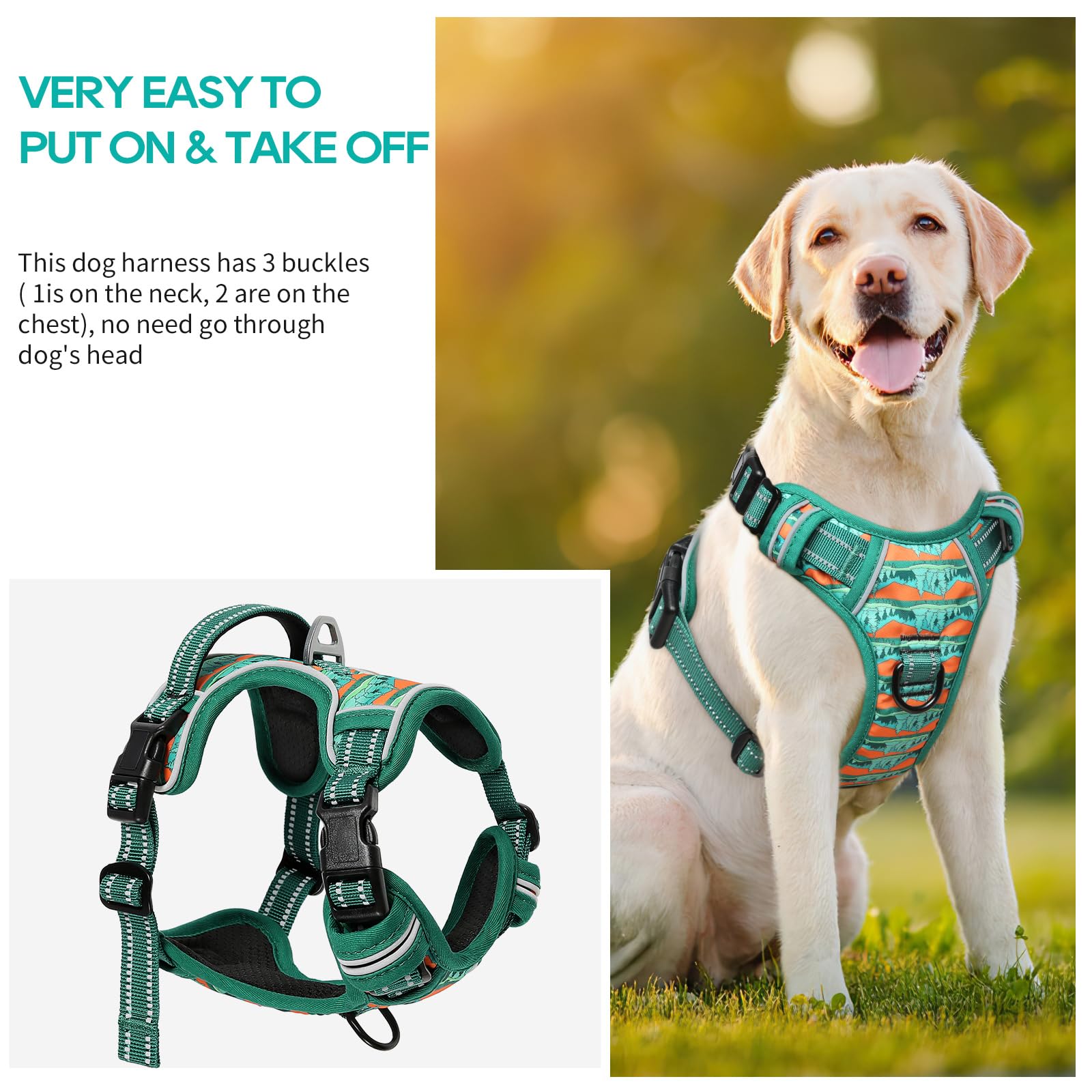 Timos soft padding harness offers comfortable all-day wear
