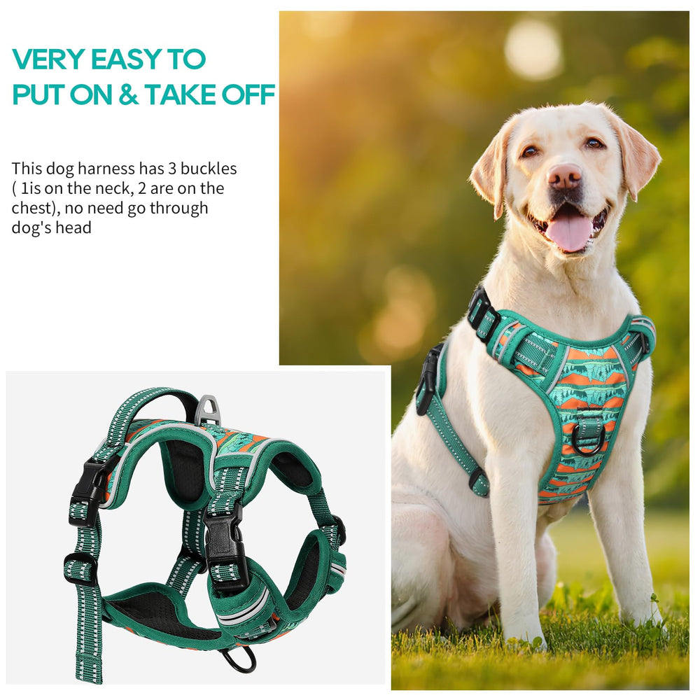 Timos soft padding harness offers comfortable all-day wear