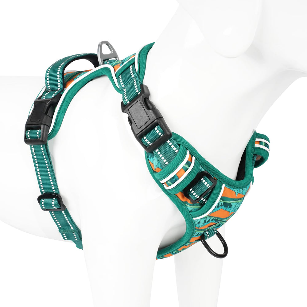 Timos wilderness color harness is ideal for hikes with medium dogs