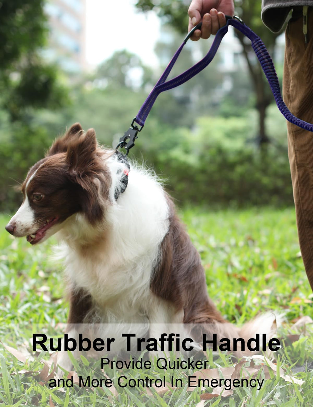 Tinmarda heavy duty dog leash reflective stitching boosts visibility during dawn excursions.