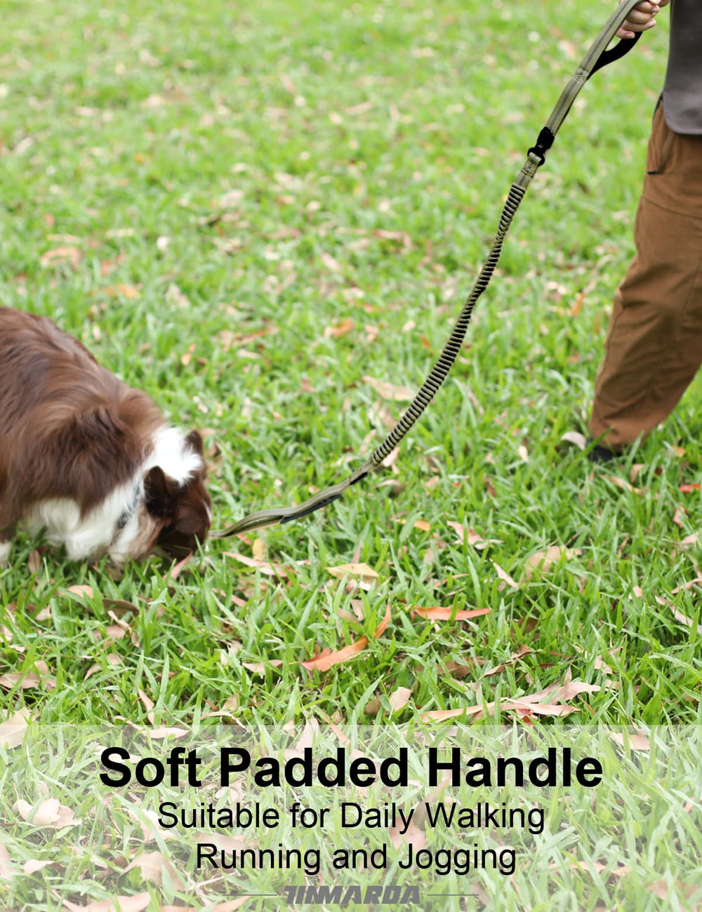 Tinmarda seatbelt clip helps secure your dog during car trips.