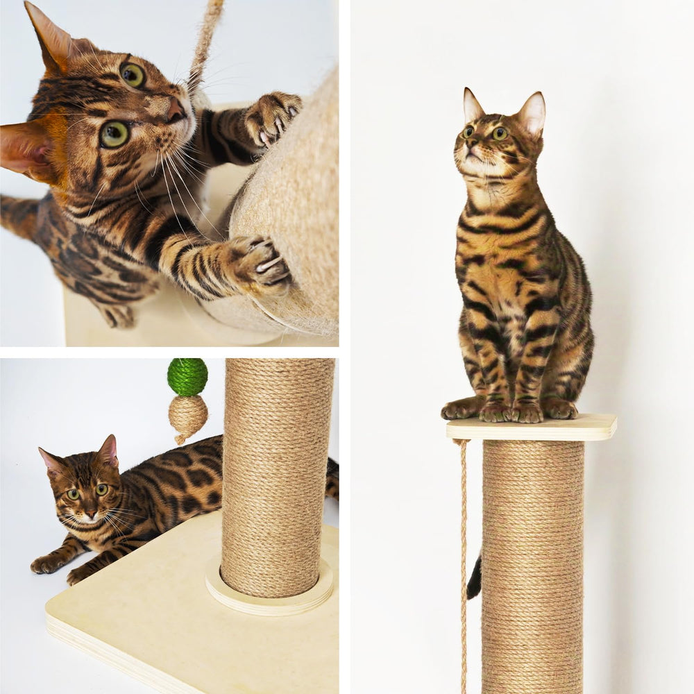 TinyBeast quick screw assembly makes setup fast for busy homes.