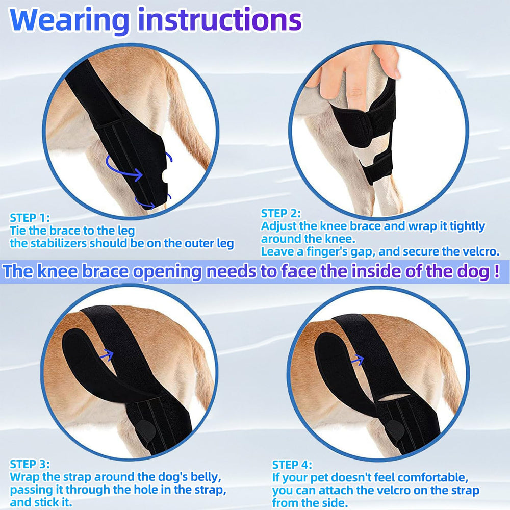 Tinzum L dog knee brace worn daily for comfortable activity.