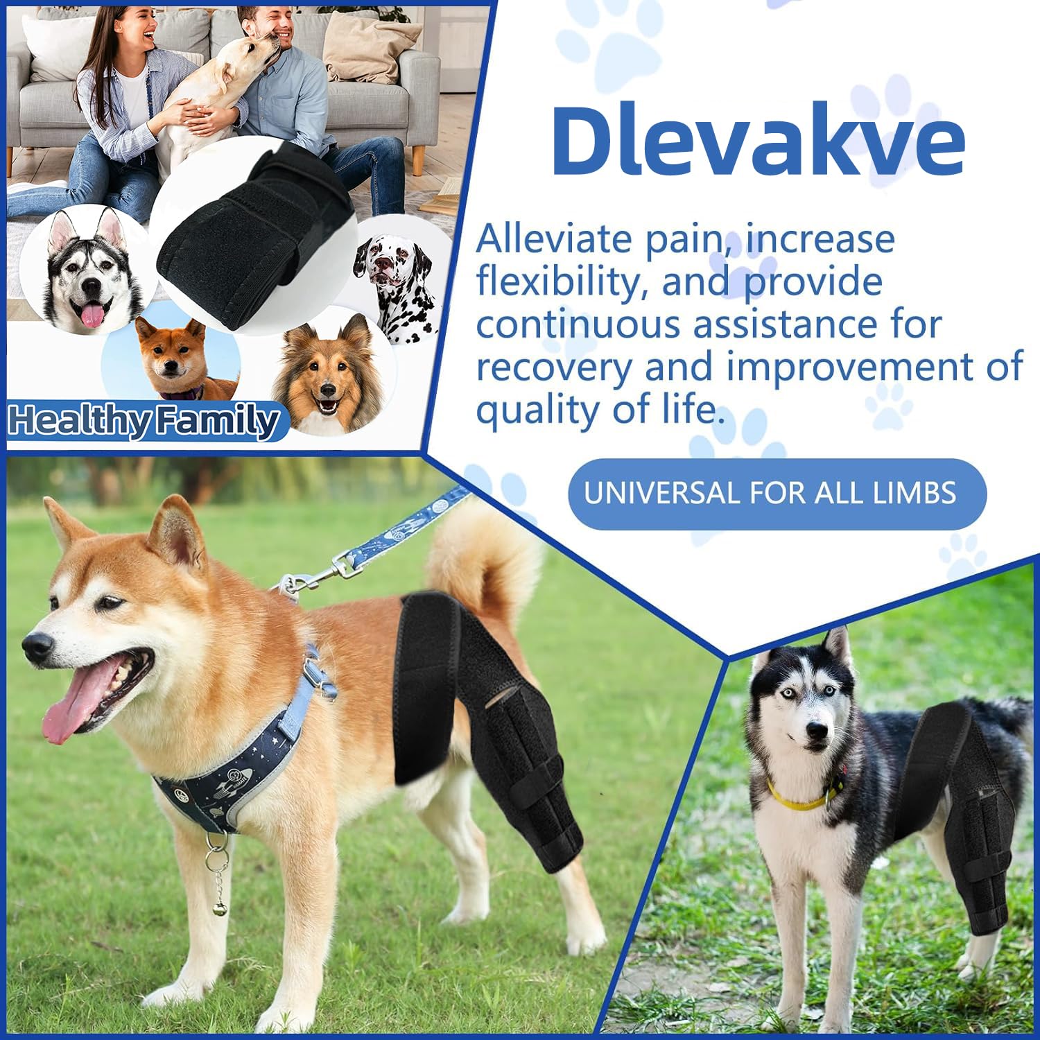 Tinzum L brace aids arthritis relief for senior dogs during walks.