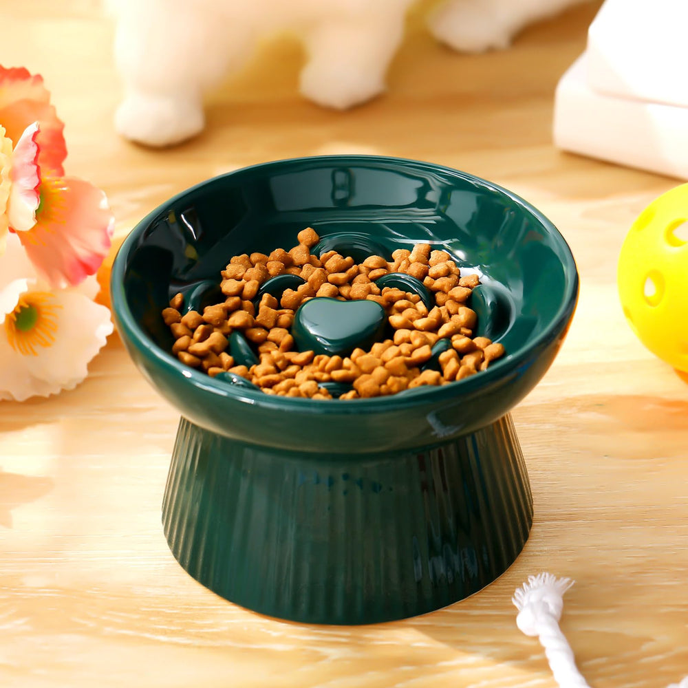 Tioncy dishwasher-safe elevated bowl for easy cleaning after meals