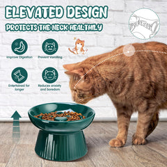 Tioncy no-spill design with raised edge for tidier feeding sessions
