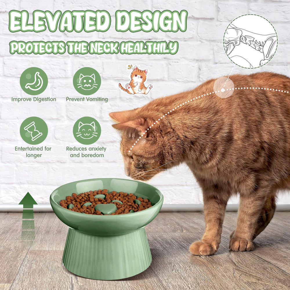 Tioncy sage green ceramic bowl on elevated stand helps neat feeding