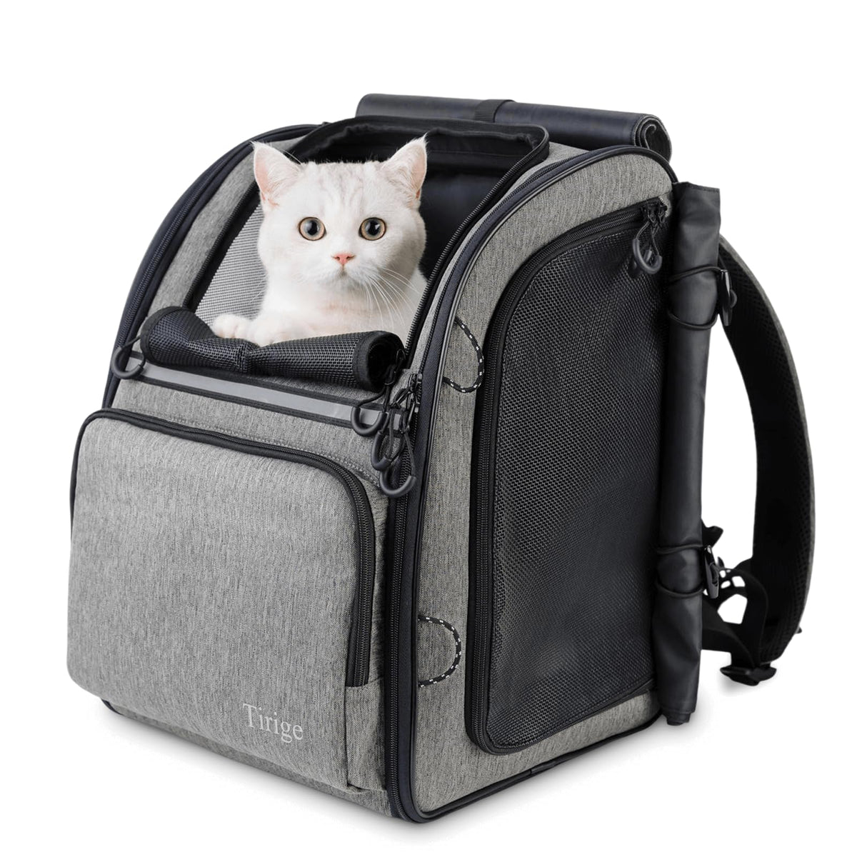 Tirige carrier backpack with structured frame providing upright support for pets during travel