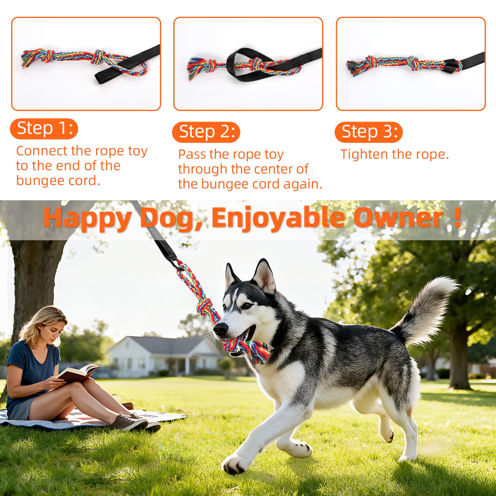 Tivray dog in action with tug and pull exercises.