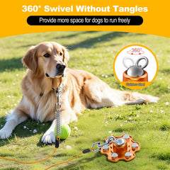 Tivray dog stake with six screws ensures solid ground anchoring.