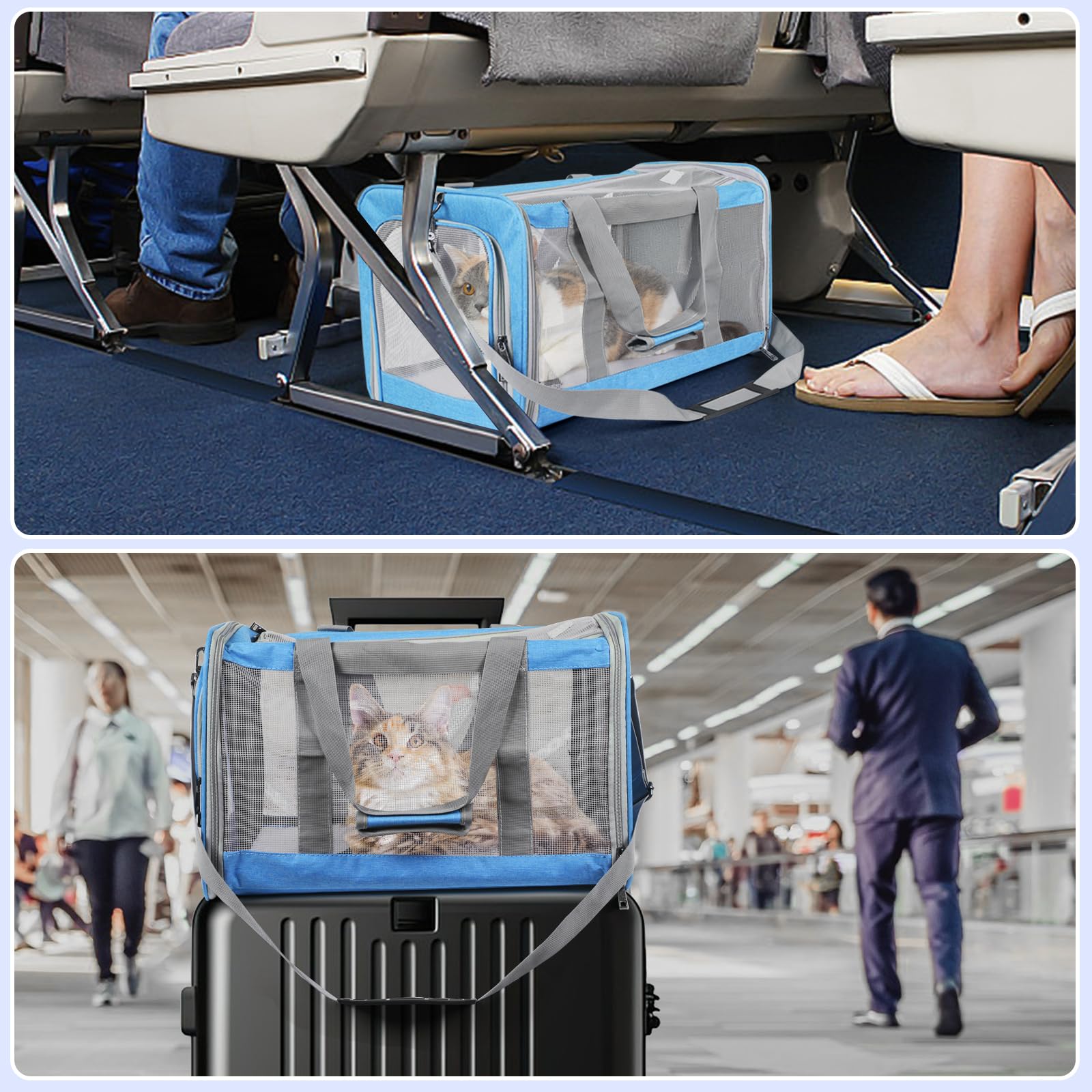 TIYOLAT washable mat keeps the carrier clean