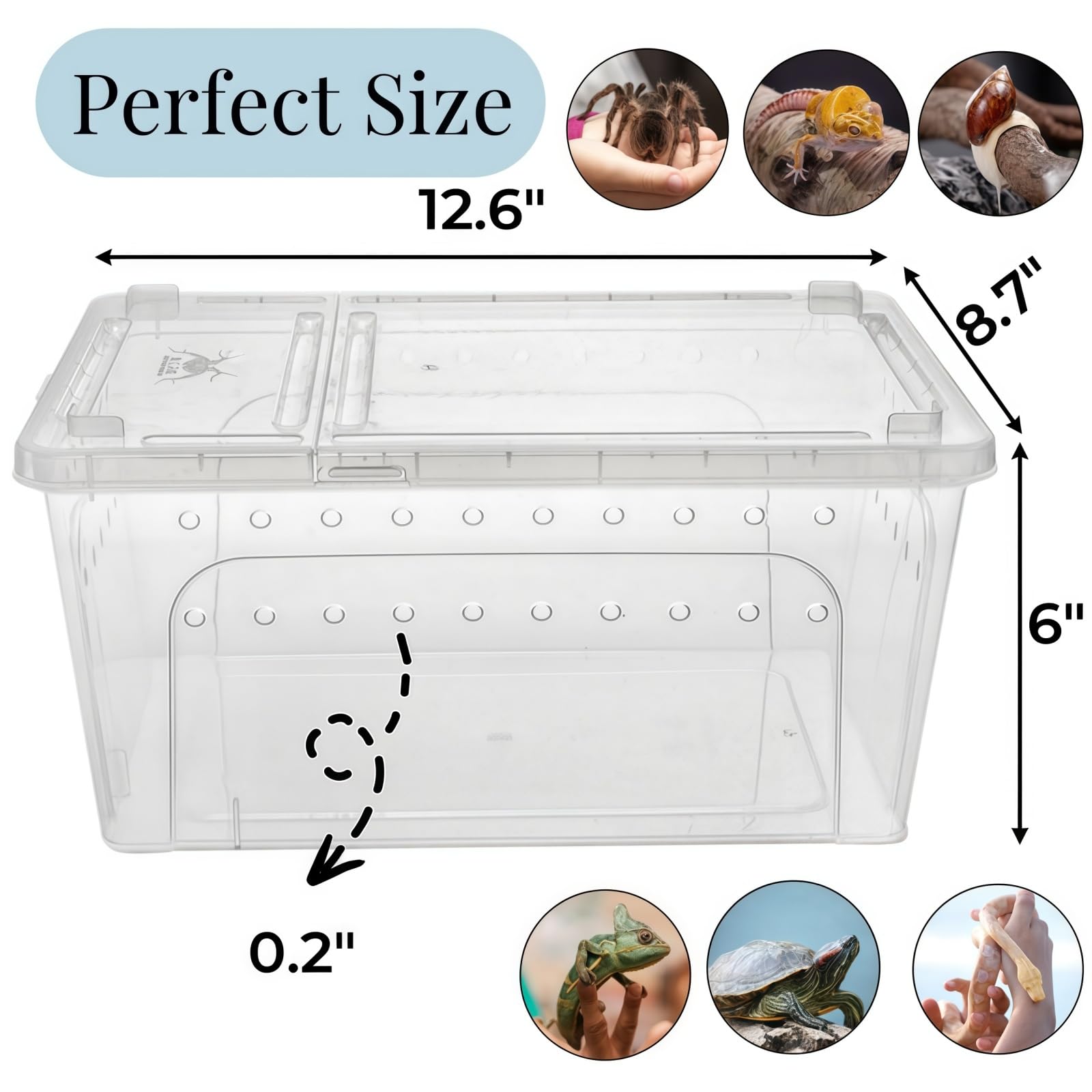 Tlence Critter Keeper with ventilated lid enables breathable small animal housing.