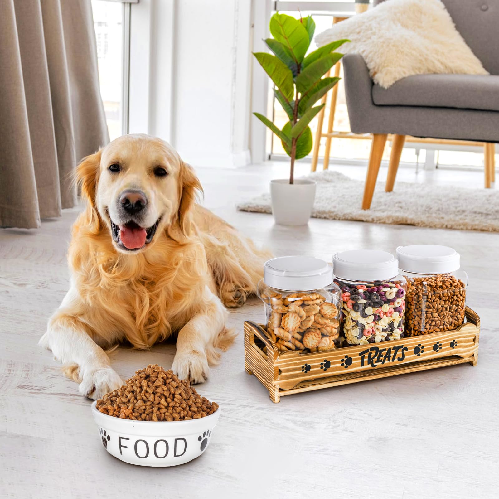 Tlence paw-patterned stand blends style with practicality on any counter.