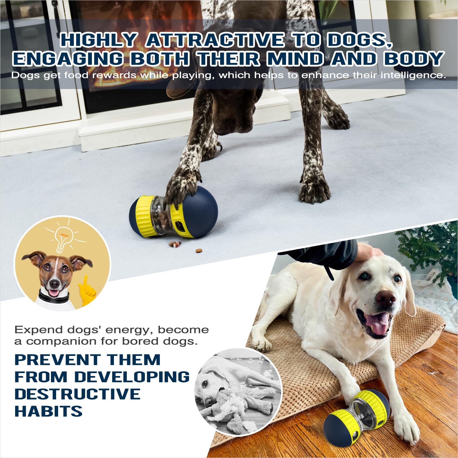 TLKNG ideal indoor enrichment for boredom relief on rainy days or busy schedules