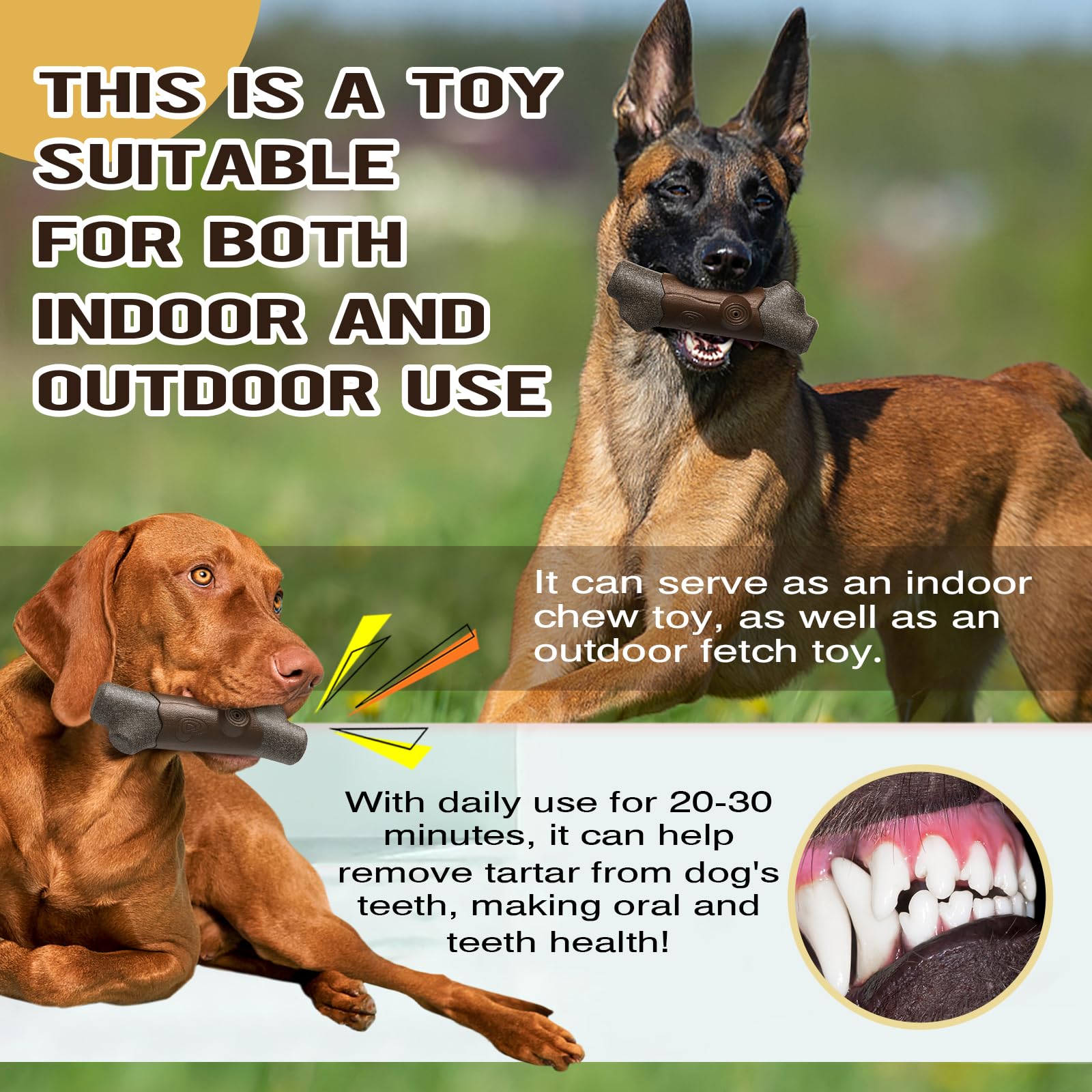 TLKNG large squeaky dog chew toy safe materials protect pet health during chewing.