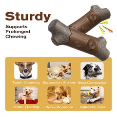 TLKNG large squeaky dog chew toy close-up of hidden squeaker design for longer play.
