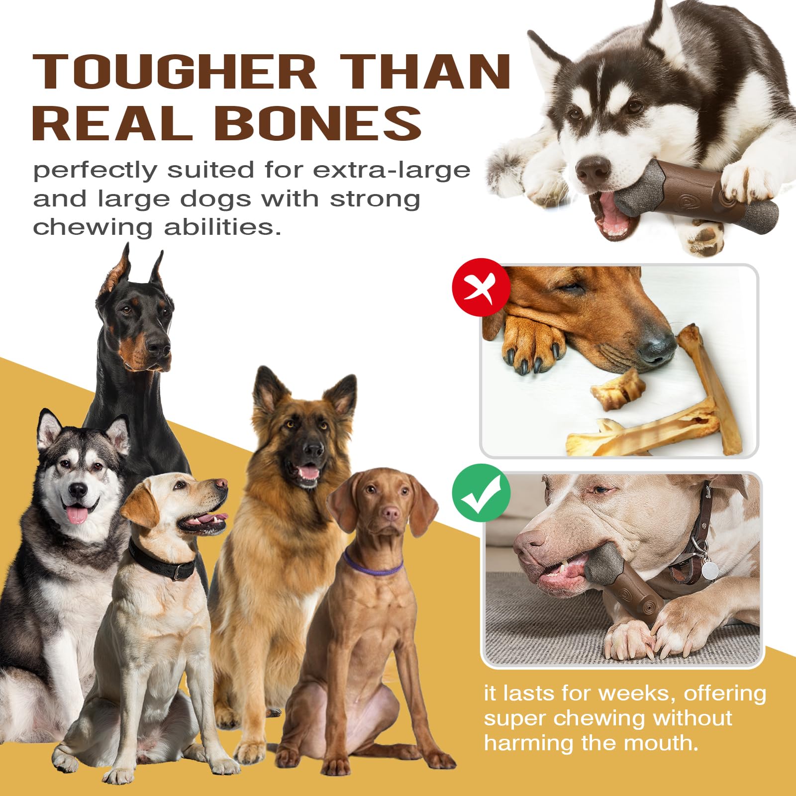 TLKNG large squeaky dog chew toy textured surface aiding dental cleaning during chewing.