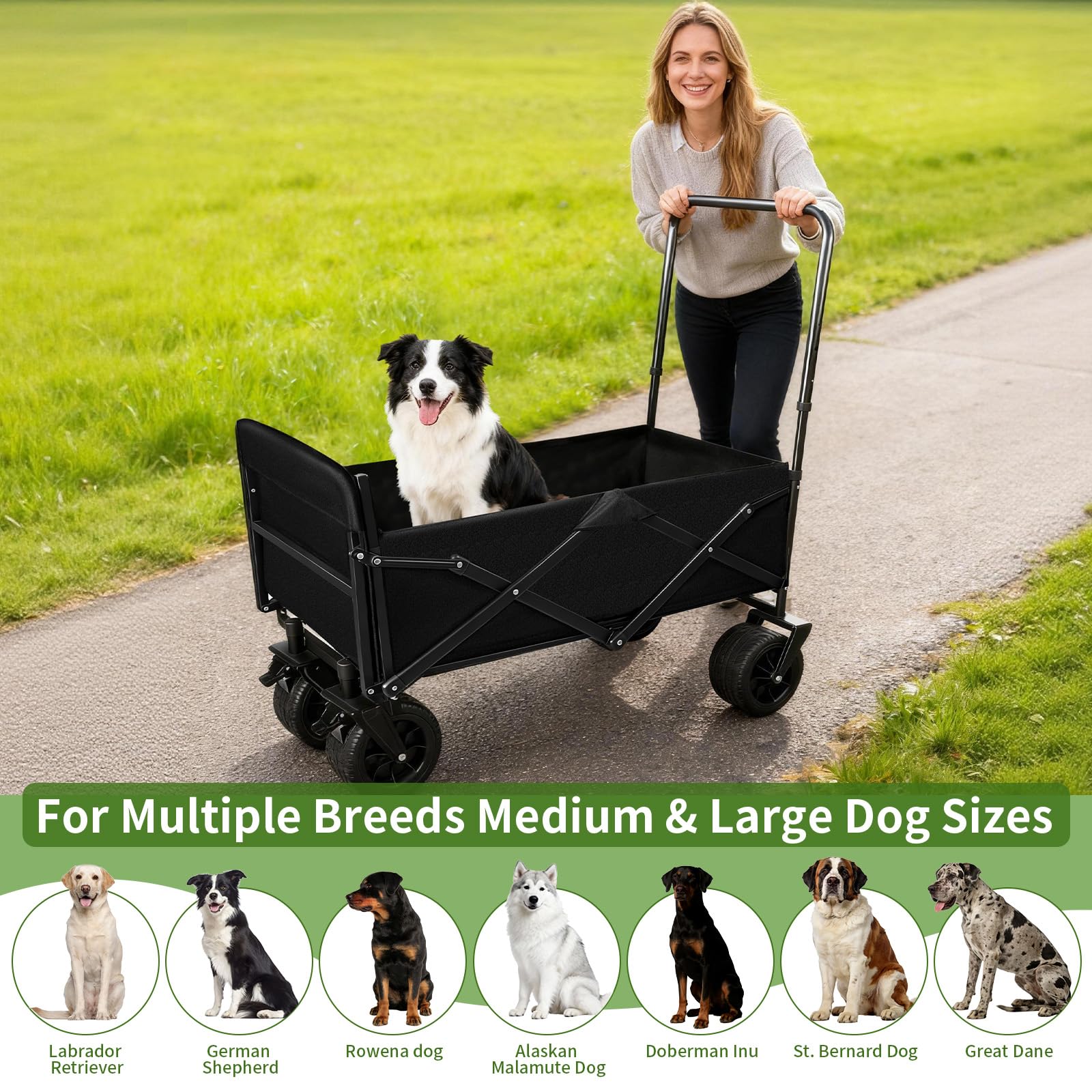 TNELTUEB rear foldable ramp enables easy pet entry.