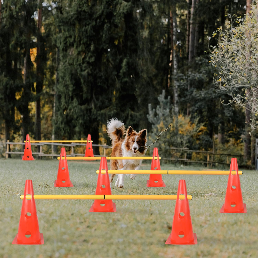 TNZMART agility poles supporting adjustable courses for growth