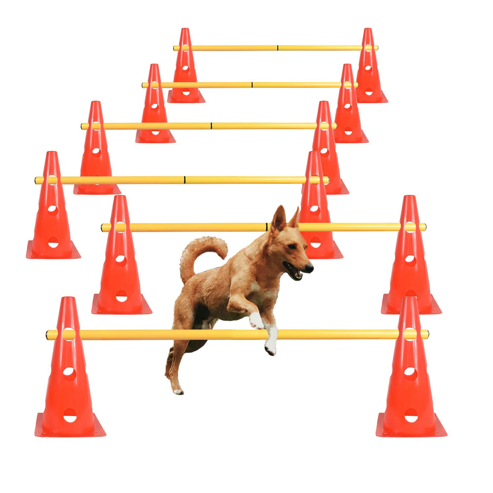 TNZMART dog agility hurdle cones for engaging training in any space