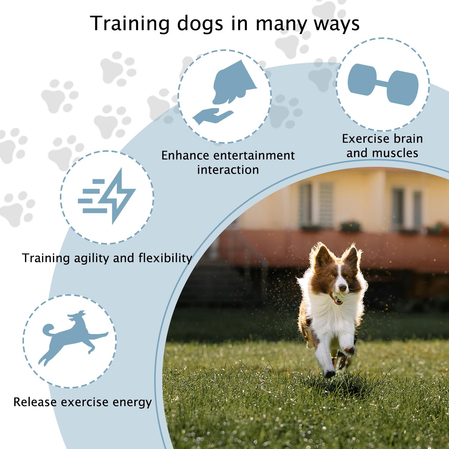 TNZMART training set usable indoors and outdoors for versatile workouts