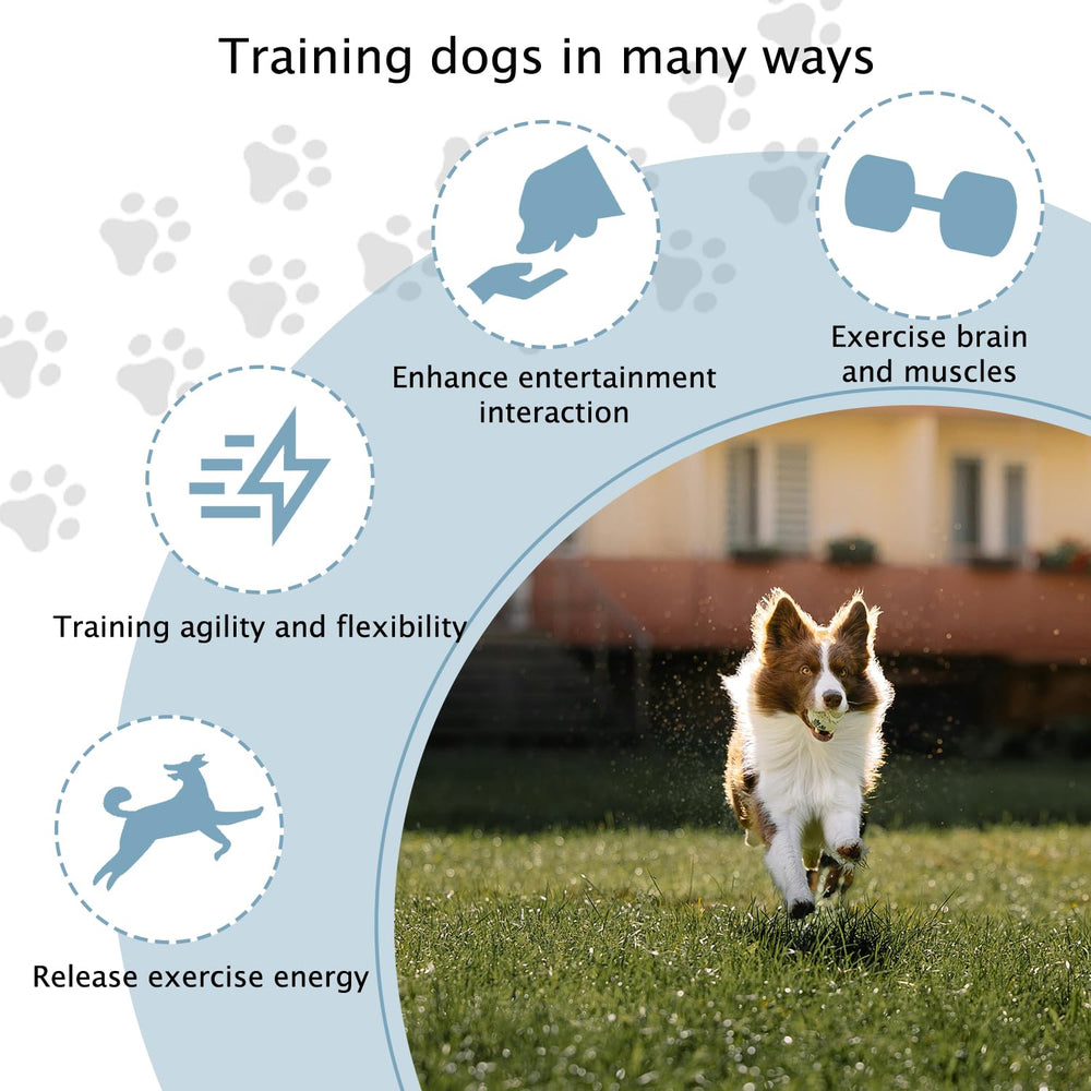 TNZMART training set usable indoors and outdoors for versatile workouts