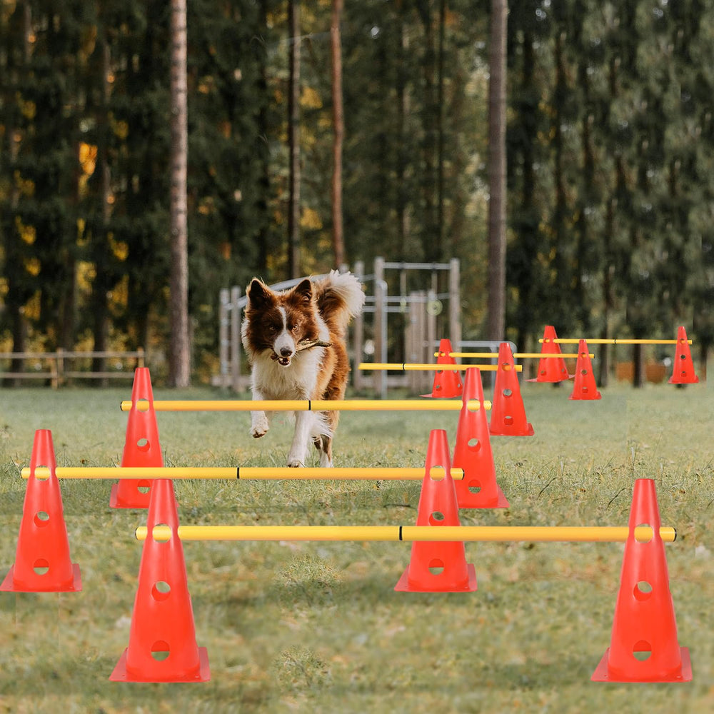 TNZMART indoor and outdoor use for versatile training sessions