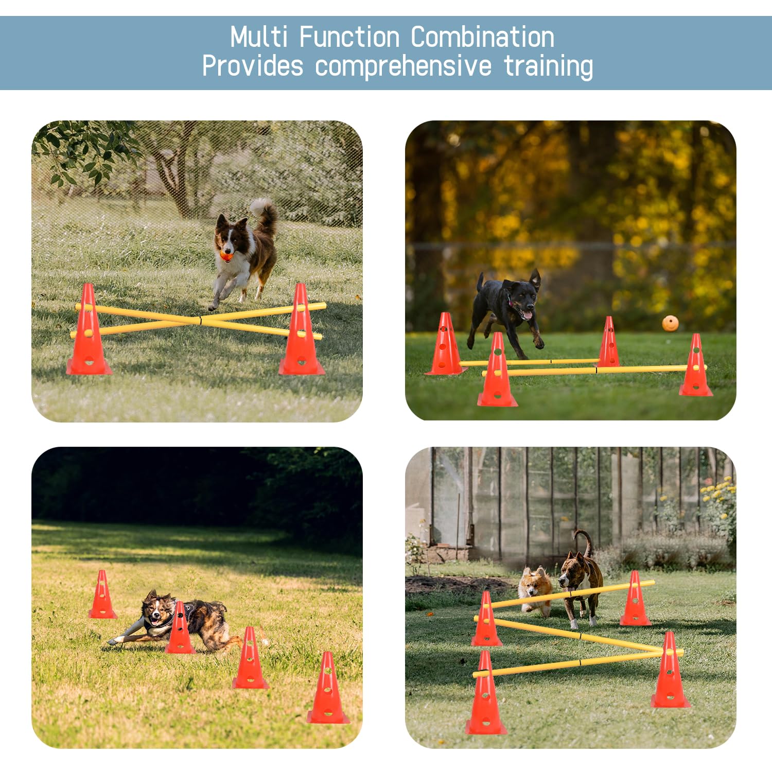 TNZMART portable training set enabling quick backyard setups