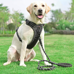 TobeDRI durable nylon oxford harness built for long-lasting daily wear