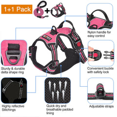 tobeDRI no-pull harness close-up shows delta rings and reinforced stitching for durability.