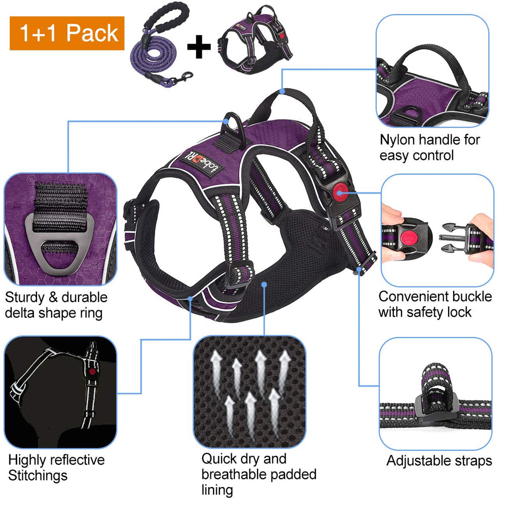 tobeDRI harness easy-on buckles enable quick, secure fitting