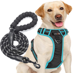 tobeDRI No Pull Harness with front and back rings for balanced leash control during walks