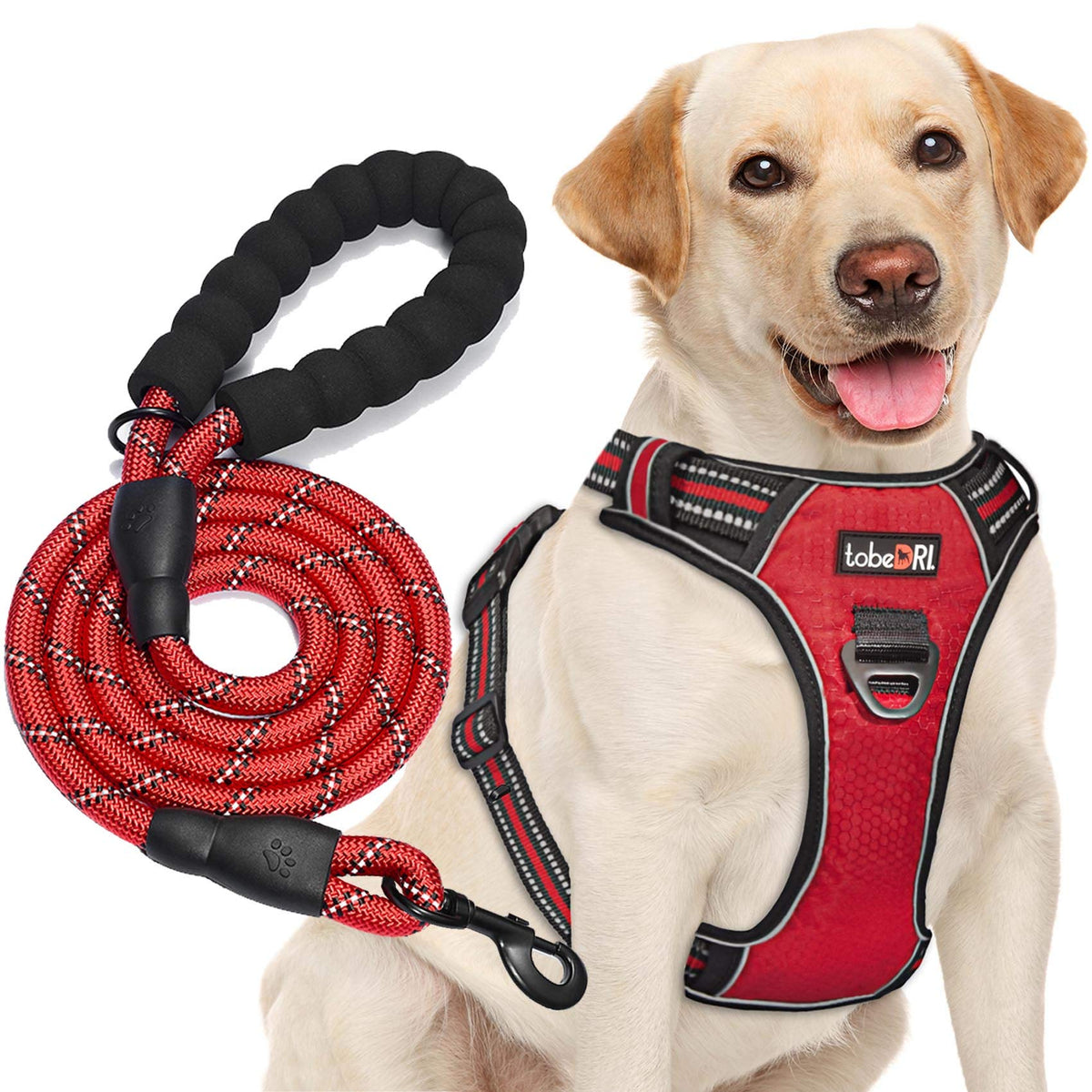 tobeDRI no pull harness front rings for front clip control during walks