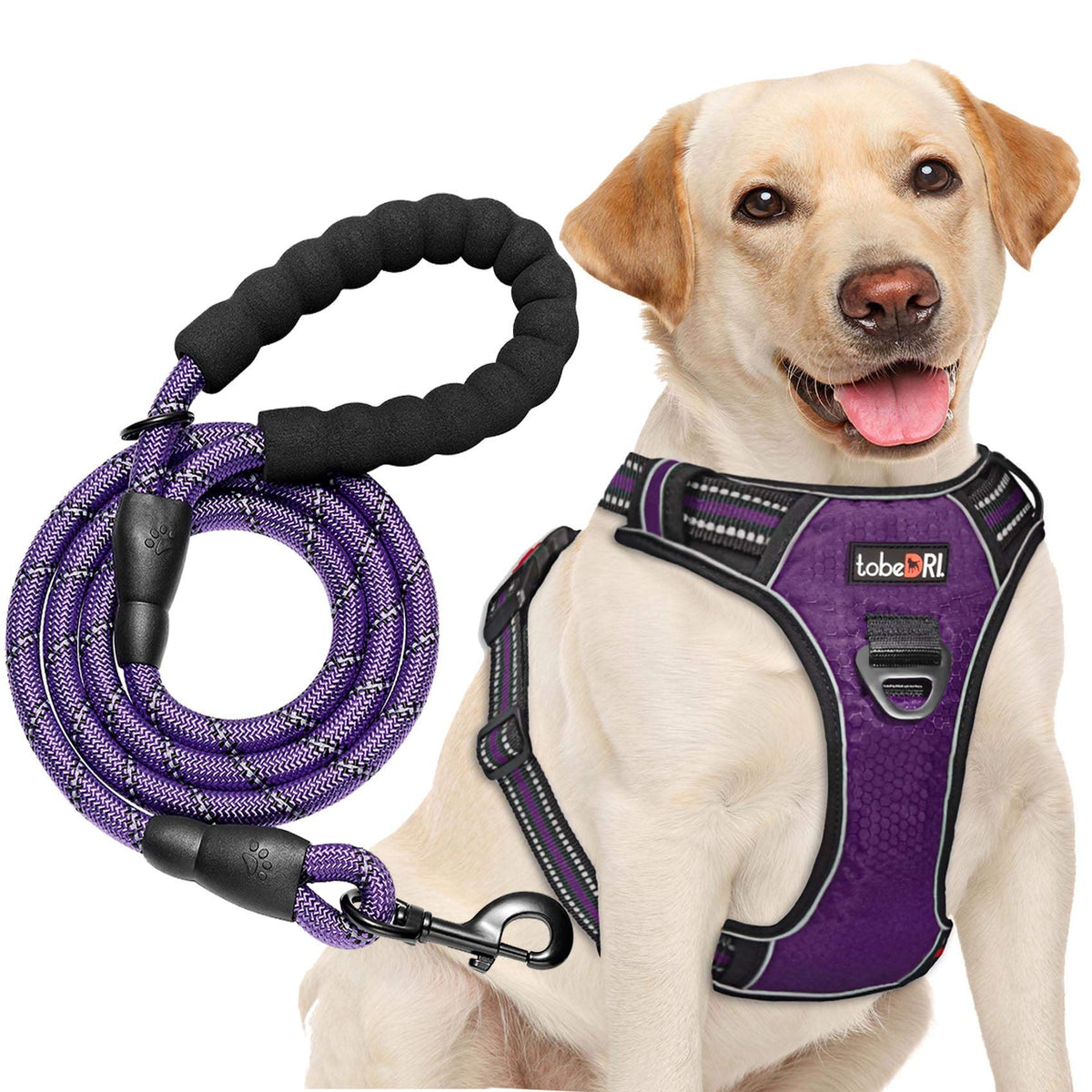 tobeDRI No Pull Harness front view shows anti-pull clip