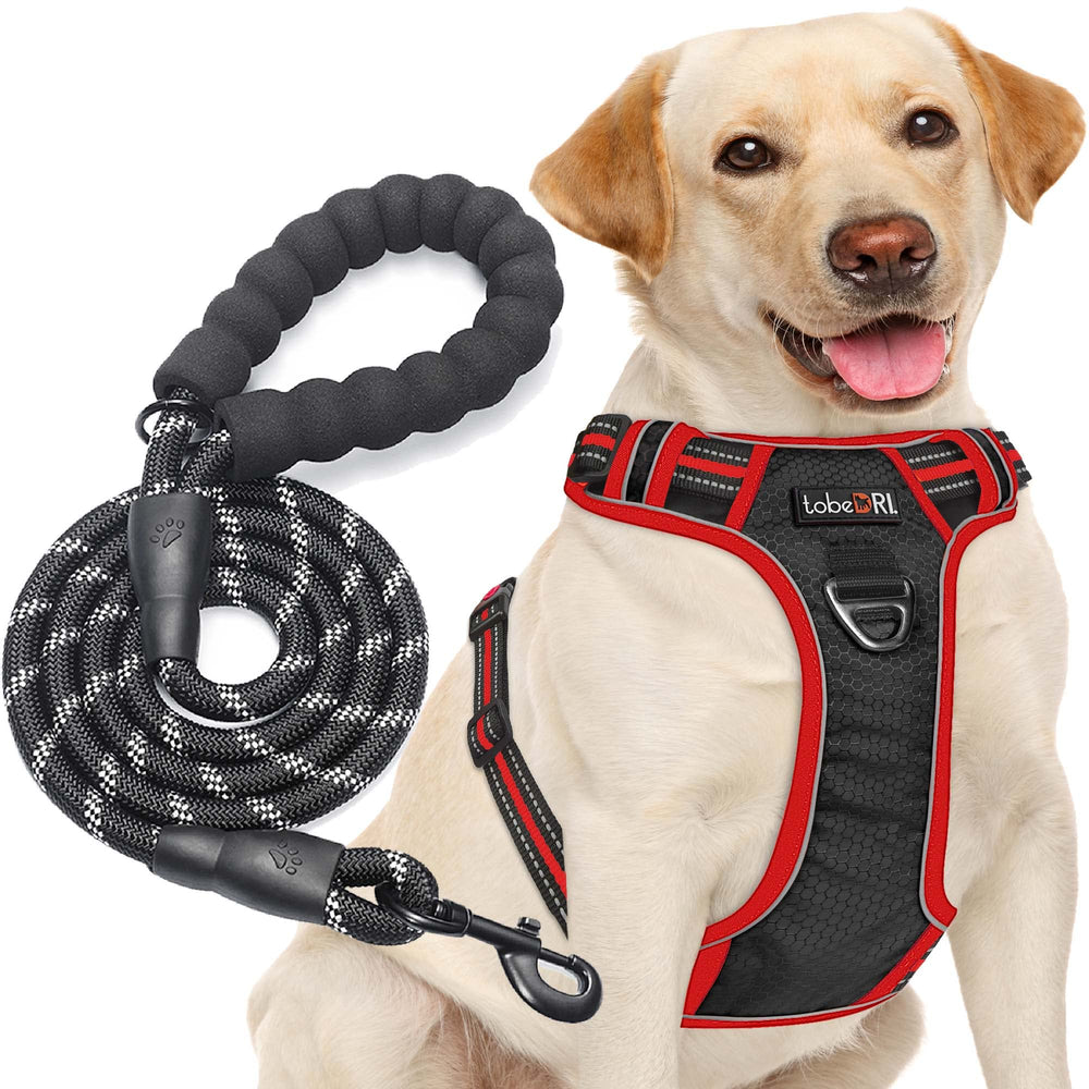 tobeDRI No Pull Harness front view showing front clip for controlled walking