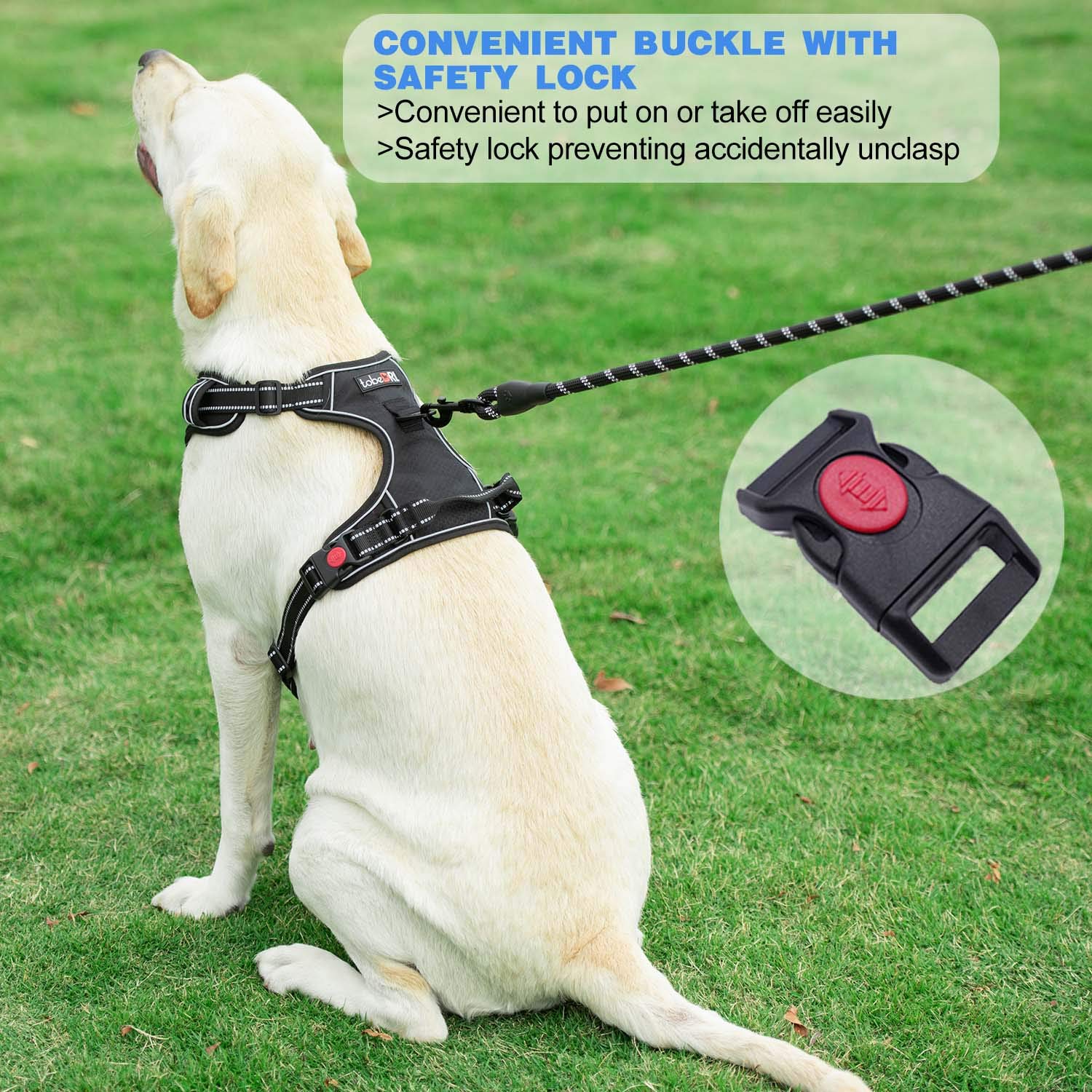 tobedri no-pull harness reflective stitching for night visibility