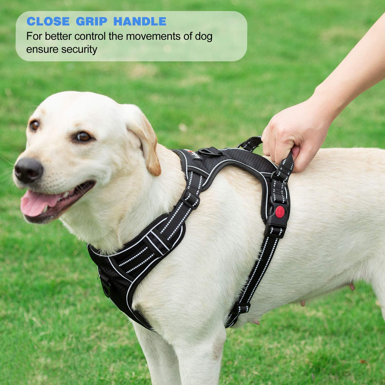tobedri reflective stitching improves nighttime visibility during walks