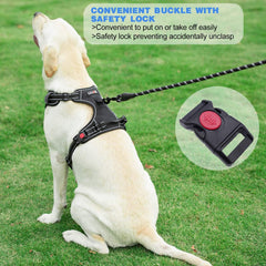 tobeDRI reflective stitching improves nighttime visibility for safer evening walks