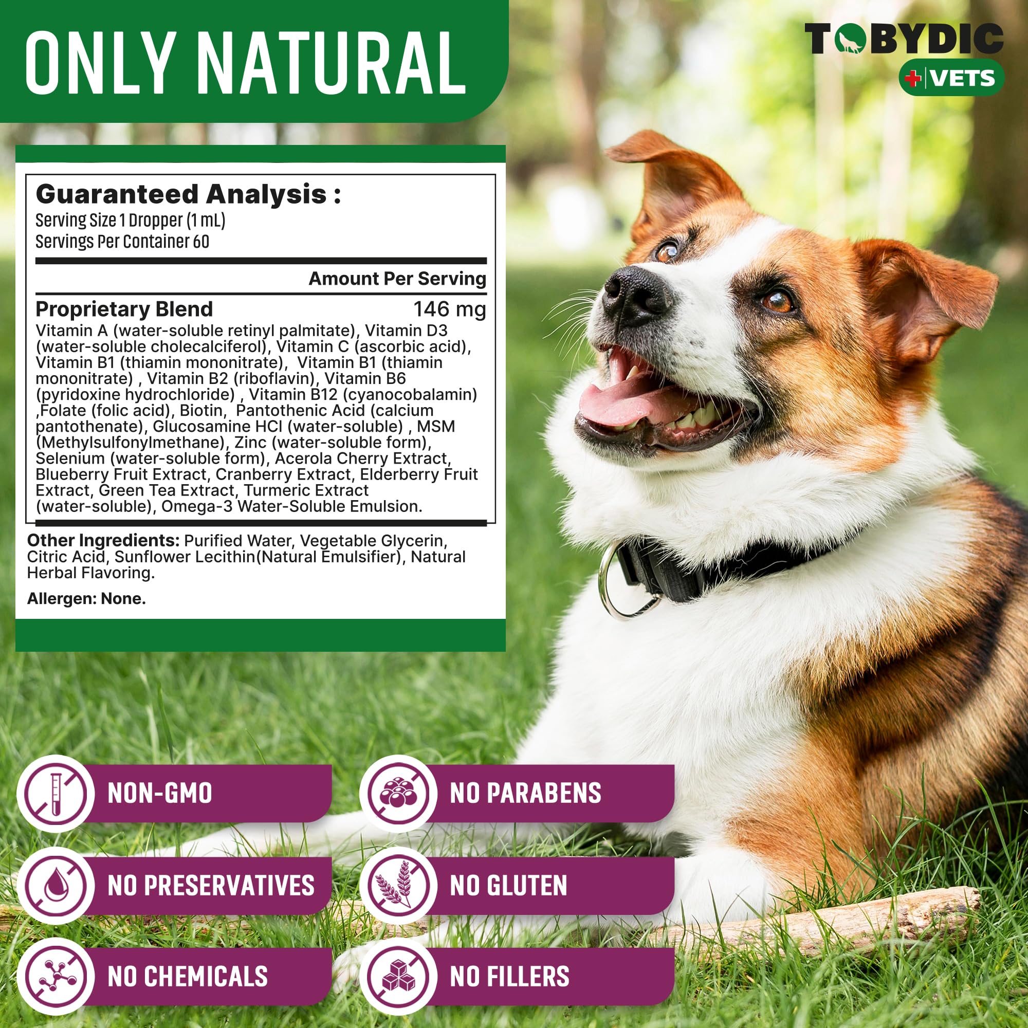 TOBYDIC pet health routine with easy administration scene