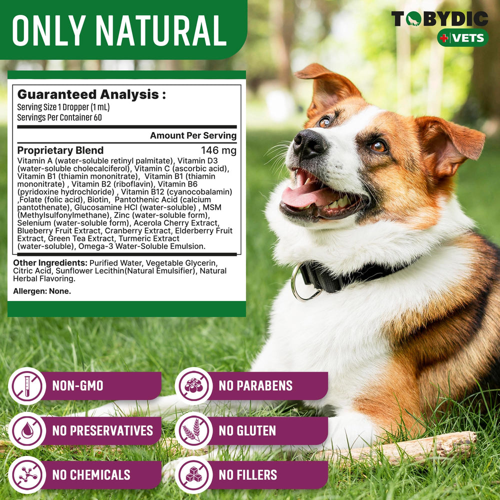 TOBYDIC pet health routine with easy administration scene