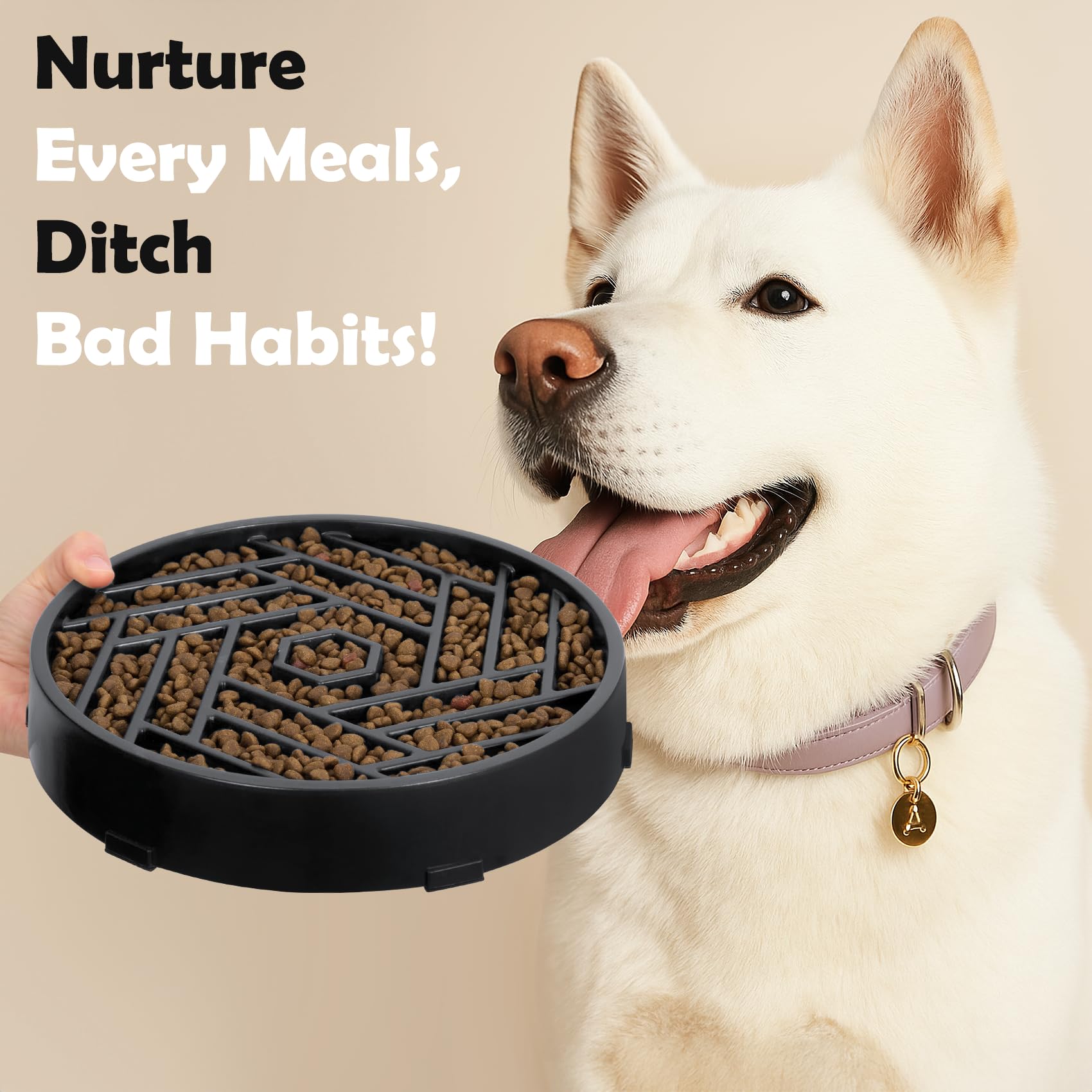 TOBYTO six color options to match your pet's style