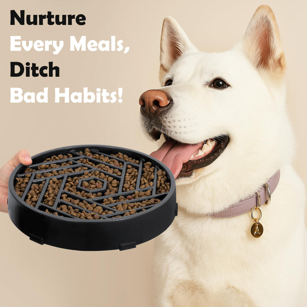 TOBYTO six color options to match your pet's style