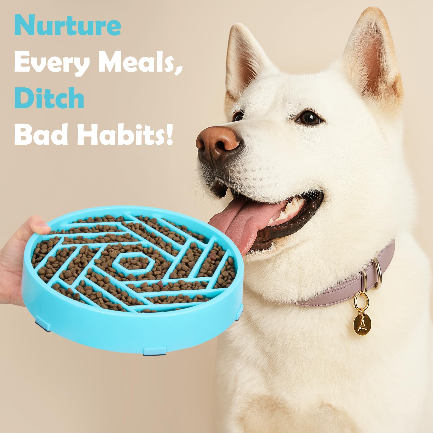 TOBYTO blue slow feeder bowl offers six color options for style