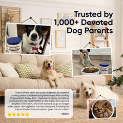 TOGOLIUN PuppyLabCo bacon flavor powder appealing to dogs during meals