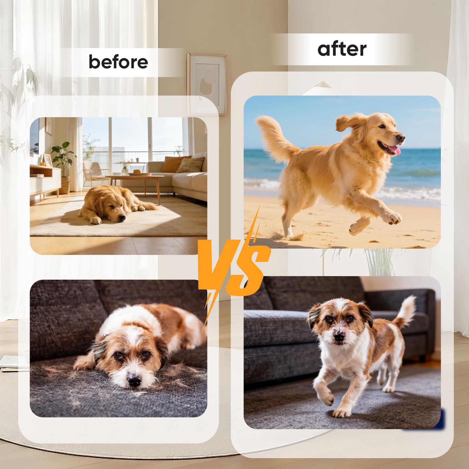 TOGOLIUN PuppyLabCo convenient topping for daily canine wellness