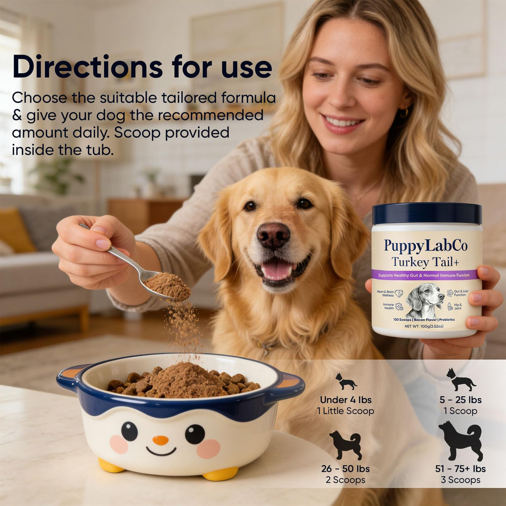 TOGOLIUN PuppyLabCo delicious powder supports meals and activity