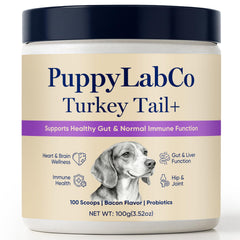 TOGOLIUN PuppyLabCo turkey tail powder in a bowl supports canine digestion