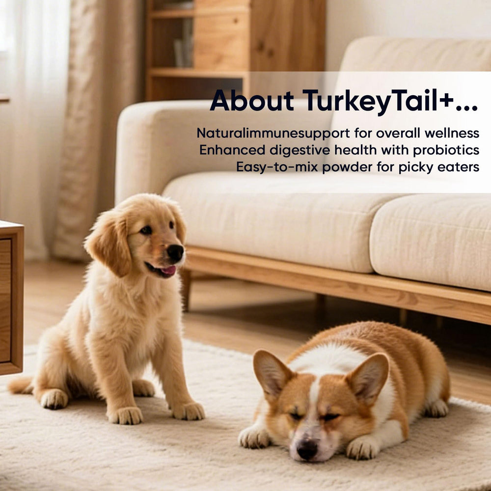 TOGOLIUN PuppyLabCo vet-approved formula suitable for all ages