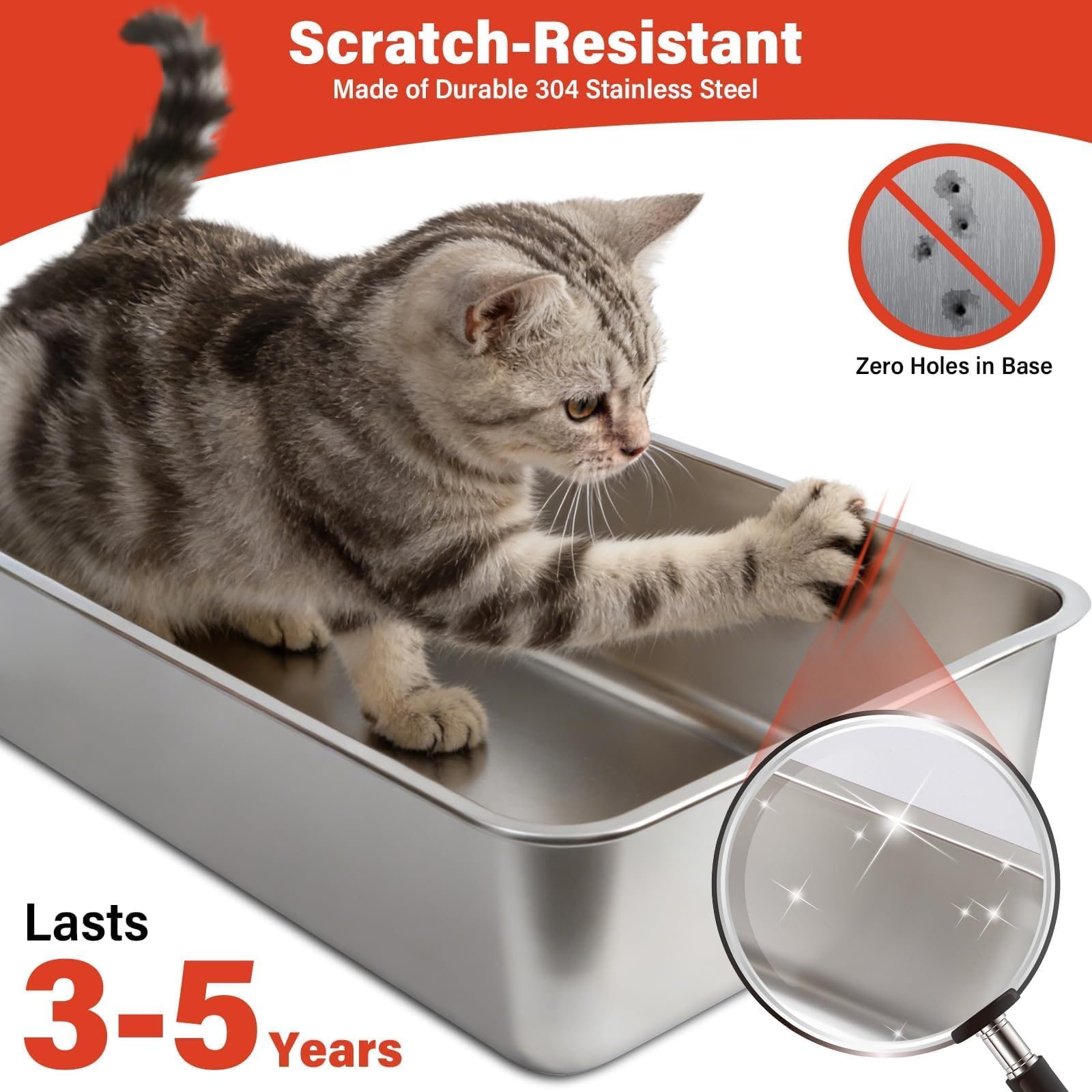 TOKXTIK large-cat suitability with 10-inch walls for comfortable use.
